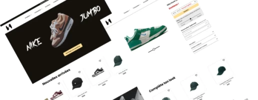 Image de l'article Article 1